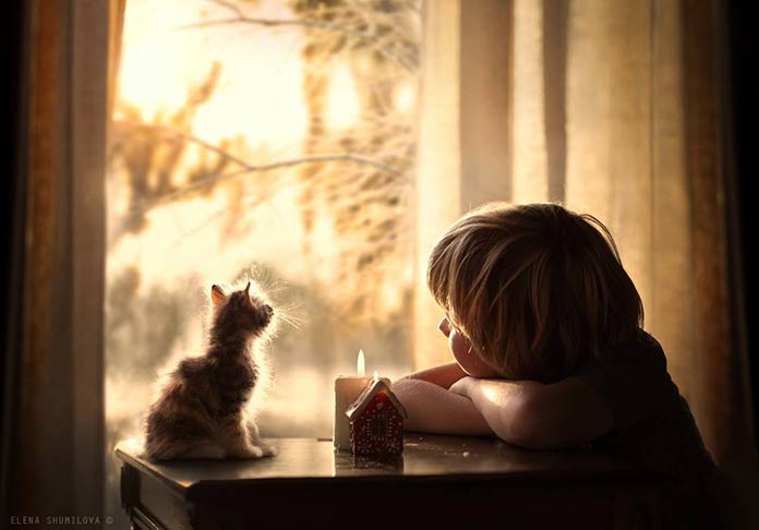 Để dành nước mắt 1 để dành nước mắt