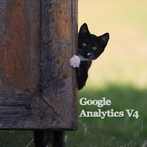cách chèn Google Analytics v4 vào Wordpress