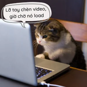 Chen Youtube Cham Wordpress