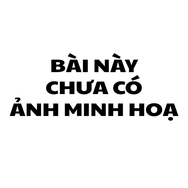 Anh Minh Hoa